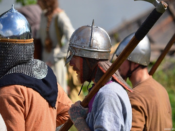 Ладейное поле - 2016