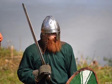 Ладейное поле - 2016