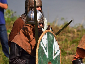 Ладейное поле - 2016