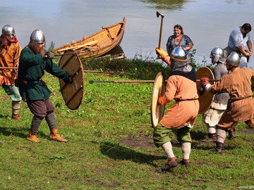 Ладейное поле - 2016