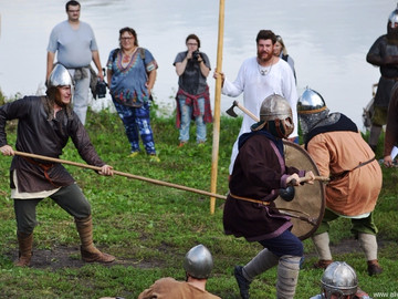 Ладейное поле - 2016