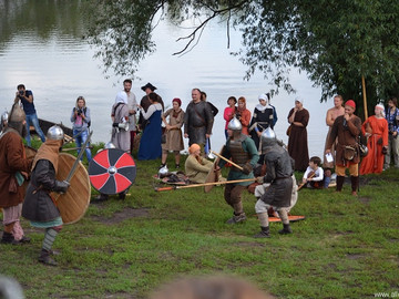 Ладейное поле - 2016