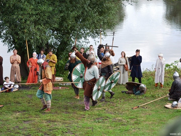 Ладейное поле - 2016