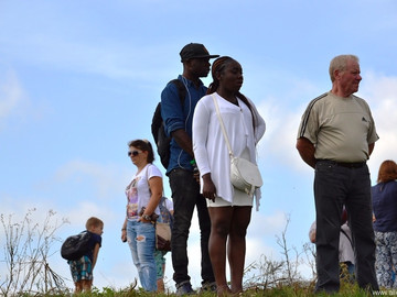 Ладейное поле - 2016