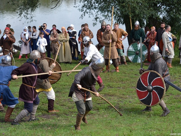 Ладейное поле - 2016