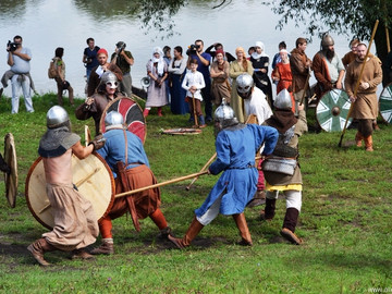 Ладейное поле - 2016