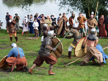 Ладейное поле - 2016