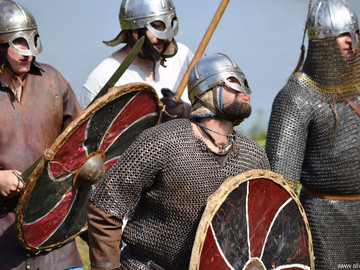 Ладейное поле - 2016