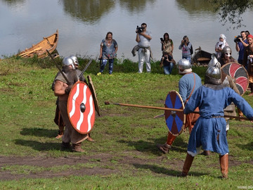 Ладейное поле - 2016