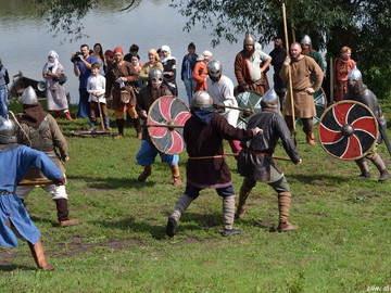 Ладейное поле - 2016
