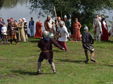 Ладейное поле - 2016