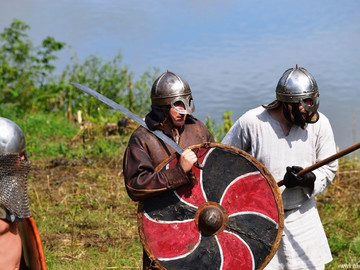 Ладейное поле - 2016