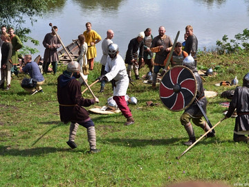 Ладейное поле - 2016