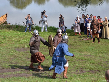 Ладейное поле - 2016