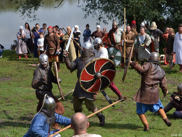 Ладейное поле - 2016