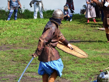 Ладейное поле - 2016