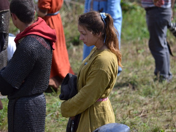 Ладейное поле - 2016