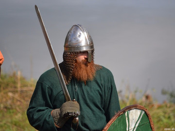 Ладейное поле - 2016