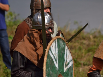 Ладейное поле - 2016