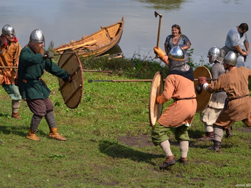 Ладейное поле - 2016