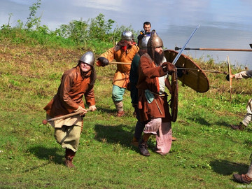 Ладейное поле - 2016