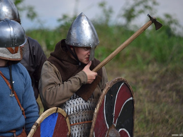 Ладейное поле - 2016