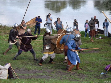 Ладейное поле - 2016