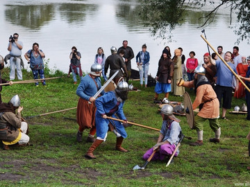 Ладейное поле - 2016