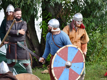 Ладейное поле - 2016