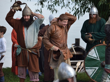 Ладейное поле - 2016