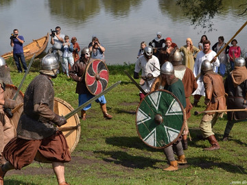 Ладейное поле - 2016