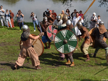 Ладейное поле - 2016