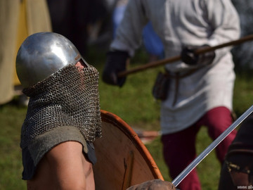 Ладейное поле - 2016