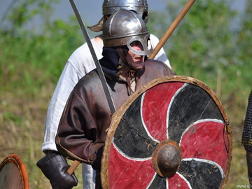 Ладейное поле - 2016