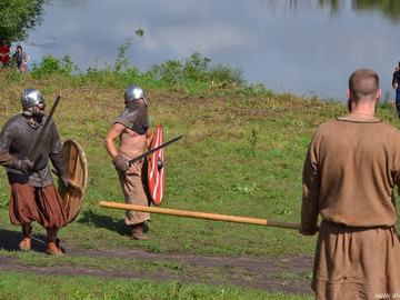 Ладейное поле - 2016