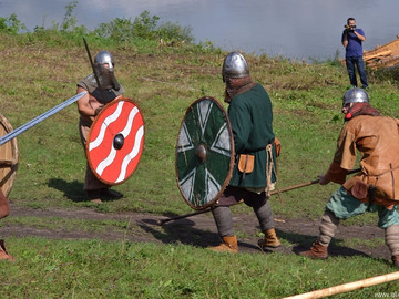 Ладейное поле - 2016