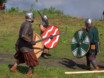 Ладейное поле - 2016