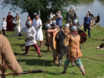 Ладейное поле - 2016