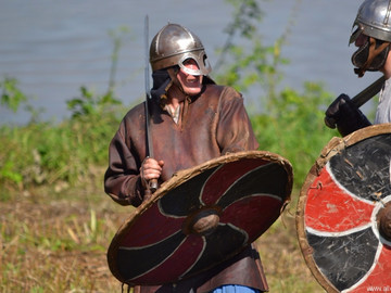 Ладейное поле - 2016