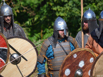 Ладейное поле - 2016