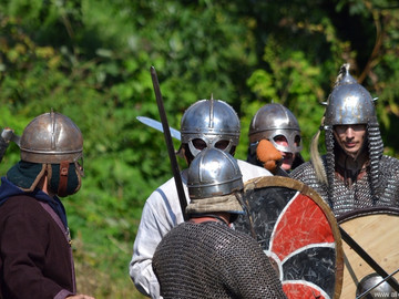 Ладейное поле - 2016