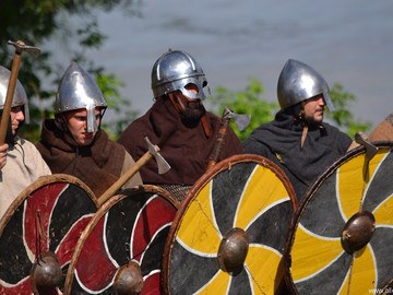 Ладейное поле - 2016