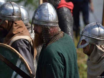 Ладейное поле - 2016