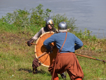 Ладейное поле - 2016
