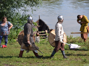 Ладейное поле - 2016