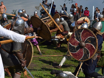 Ладейное поле - 2016