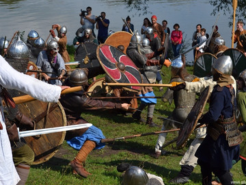 Ладейное поле - 2016