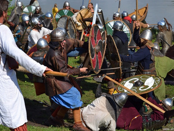 Ладейное поле - 2016