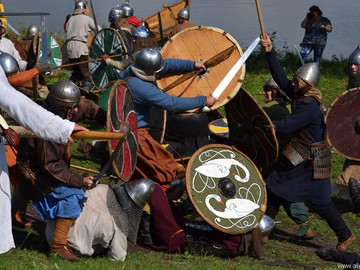 Ладейное поле - 2016