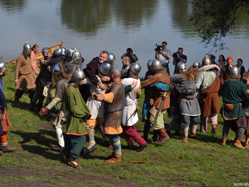 Ладейное поле - 2016